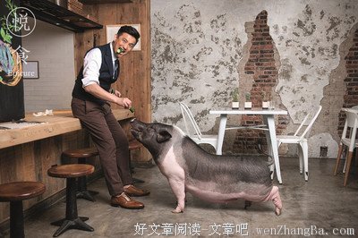 黄磊格言警句