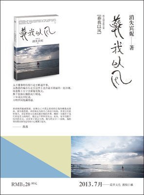 葬我以风读后感10篇