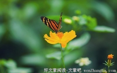 主动会显得我很掉价