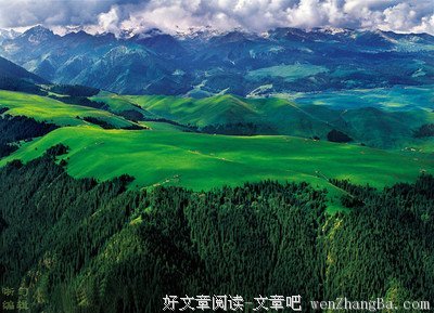 最经典的《叶落无题》佳句摘抄