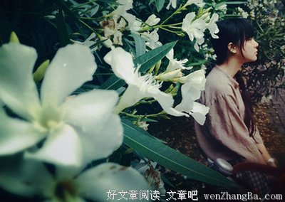 最新的《岁月间》好段摘抄