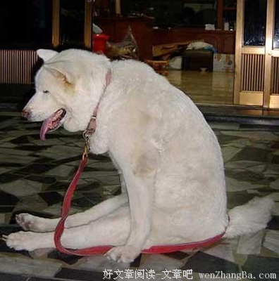 梦君的语句摘抄_关于梦君的语句