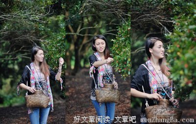 描写杨梅的语句摘抄