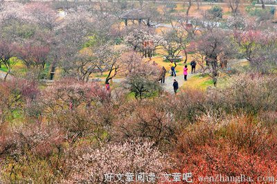 【开年大戏】七年感情谈崩后，他竟抢先一步来吐槽投稿，泼我一身