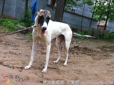 两代年轻人的幻觉与失败