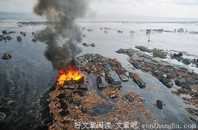 《东京地震8.0》经典影评10篇
