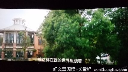 《重生》的观后感10篇