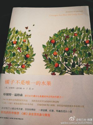 有关珍妮特·温特森的美句摘抄