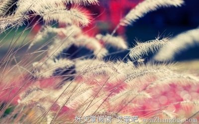 最全的朴树的名言名句