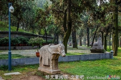 有关林初盛的美句摘抄