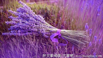 最全的《歌词》经典句子