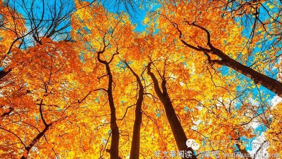 当你老了 什么让你最后悔