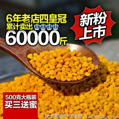 《针的诱惑》经典读后感10篇