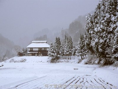 连城雪精彩语录