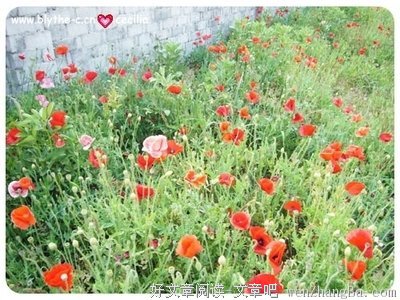 普鲁斯特的语句摘抄_关于普鲁斯特的语句