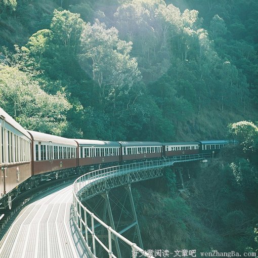 最新的《春来草自青》经典语录大全