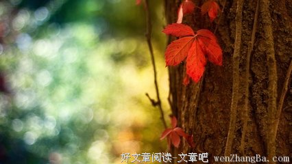 最经典的《请你温暖，无论这世界多冷漠》经典句子