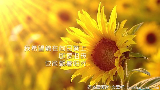 关于清心寡欲的唯美语录