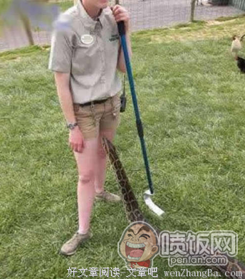 《重生之何以非凡》经典语录