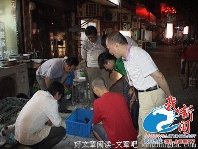 女老板被小员工戏弄，竟在大堂内…