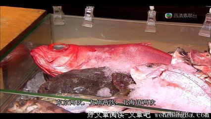 讓蔡瀾吃到「嘆為觀止」的順德魚生，一種別樣的肉慾。