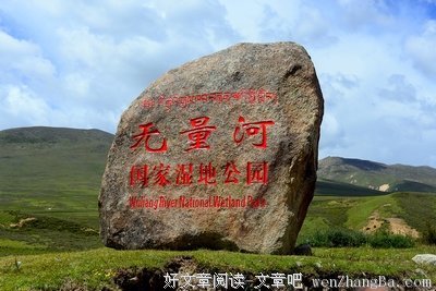 无量之网读后感精选10篇