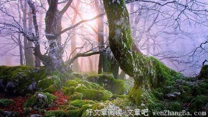 如何区分圣灵感动与自我冲动?