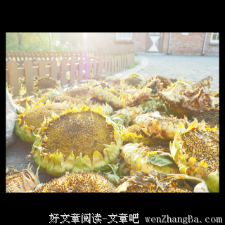 以貌取人，是最大的公平