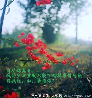 最经典的墨青城经典语录