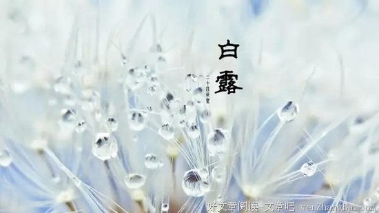 最全的秋容胡酒名句欣赏
