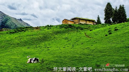 关于拉克的座右铭