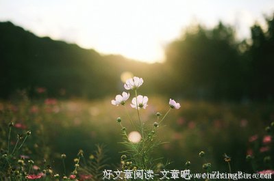最全的《人间系列》经典语句大全