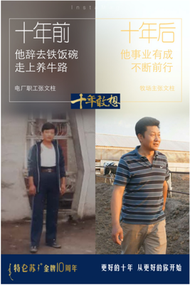 最经典的《致青春·原来你还在这里》佳句摘抄