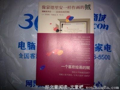 《像蒙德里安一样作画的贼》读后感10篇