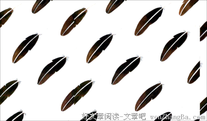 盲目的乌鸦的读后感10篇