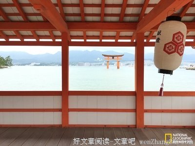 《濑户内海》观后感精选10篇