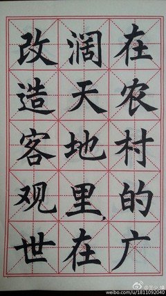 梅成的语句摘抄_关于梅成的语句