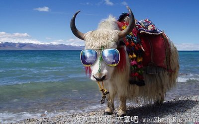 15条关于离谱的经典语句