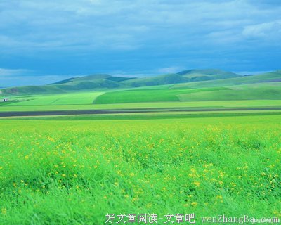 关于开阔的语句