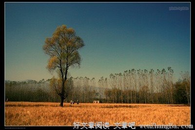最新的《师傅太撩人，徒弟犯上》好段摘抄