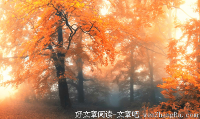 最经典的花水经典语录