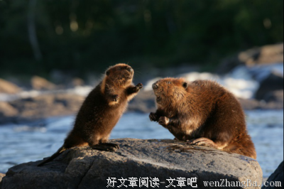 关于马蒂的名言