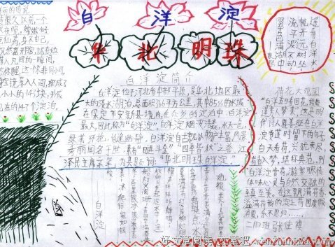 最经典的《镜花水月》佳句摘抄