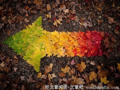 迷茫不知往哪走