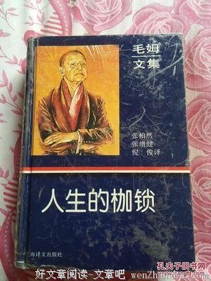 《兰贝斯的丽莎》读后感10篇