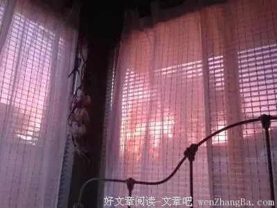 微信搜这三个字，暴露谁最爱你