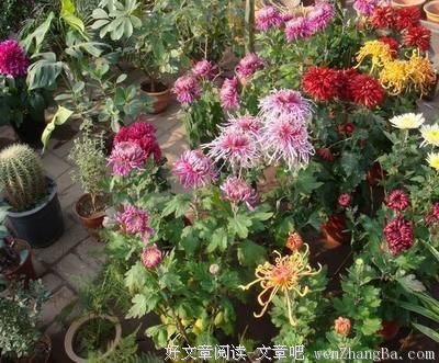 最新的元稹名句欣赏