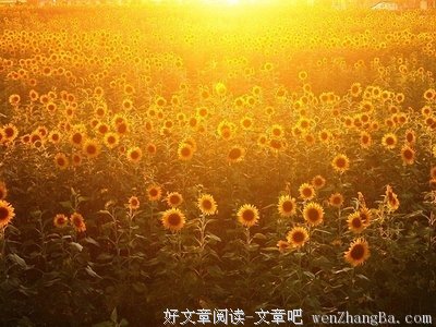 证严法师经典句子