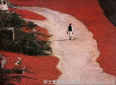 ▷“教你怎么查看朋友圈访客记录”