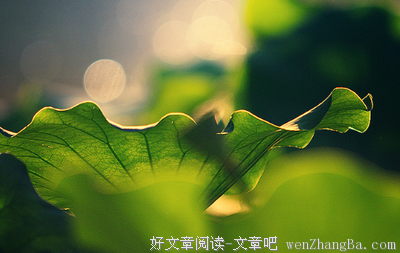 关于金科玉律的座右铭